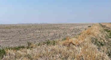 Many Farmers, Ranchers Struggling to Hold on Through Drought
