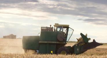 Canada to invest over $400,000 in Northern Ontario’s agriculture business innovation