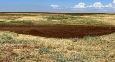 Federal Money Available To Oklahoma Livestock Producers Hit Hard By Drought