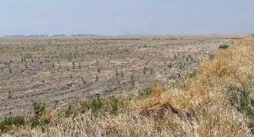 Third AFBF Survey Reveals Stark Reality of Western Drought