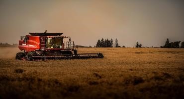Risk mitigation high in Canadian agriculture