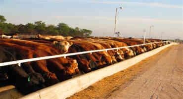Secure Beef Supply & Biosecurity Planning: The Ticket For Navigating The Strom