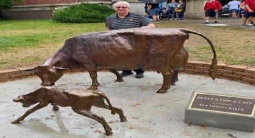 Cow-Calf Sculptures Honor Famous Iowa State Alumna