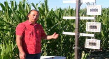 New Photo Robot Helps ISU Researchers Learn About Corn Leaf Angles