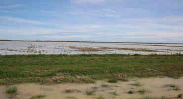 Flash Floods Pose Hazards For Ag Commodity Production