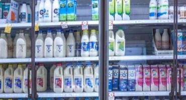 'Synthetic Milk' Made Without Cows May Be Coming To Supermarket Shelves Near You