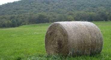 Safely Making and Handling Large Hay Bales
