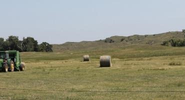 Plan Now to Purchase Your Hay Supplies