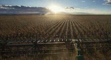 North Platte Leaders Seek Partner To Build Soybean Crush Plant
