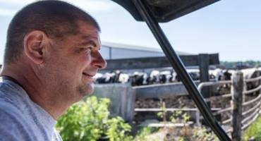 'We Farm The Sun': For Some Wisconsin Dairy Farmers, Solar Energy Is A New Source Of Income