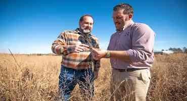 Three Mississippi State-bred Switchgrasses Hit the Market