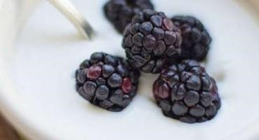 New Lactic Acid Bacteria Create Natural Sweetness in Yogurt