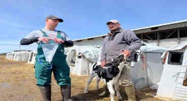 Latino Emerging Farmers Eye Dairy Enterprises