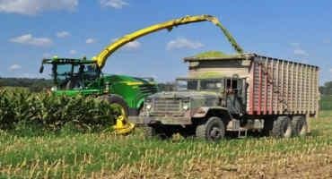 Corn Silage Dry Down Update