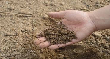 Ontario provides financial support for fertilizer solutions