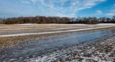 Research Brief: Nitrous Oxide Emissions From Corn Belt Spike When Soils Freeze And Thaw