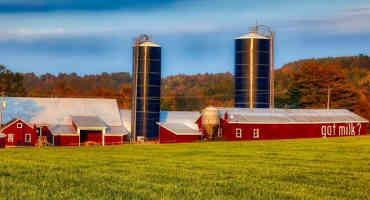 Overview of Dairy Programs in the Farm Bill