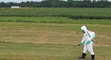 Commercial Applicator Frequently Asked Questions