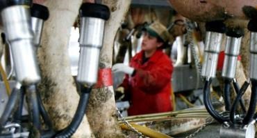 Wisconsin Dairy Leaders Call On US Senate To Fix Labor Shortages By Changing Immigration Policy