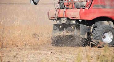 Pasture and Forage Minute: Baling Soybean Residue, Winterizing Alfalfa by Growing Degree Days