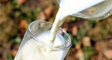 Will Cell-Based Milk Change the Dairy Industry? This California Lab Could Lead the Way