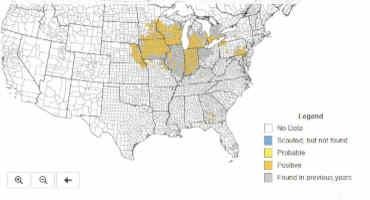 Tar Spot Disease of Corn Spreading to More Nebraska Counties