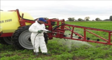 Fall Sprayer Maintenance