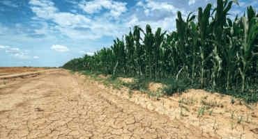 Crop Input Costs, Drought, Top Concerns for Nebraska Farmers, Ranchers