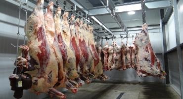 US meat sector releases first-ever report on environment 