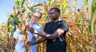 Improving Kenya's Crop Yield
