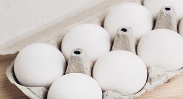 Manitoba Egg Farmers donate to food banks