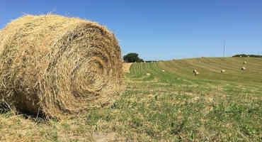 Hay Volume Continues to Lower