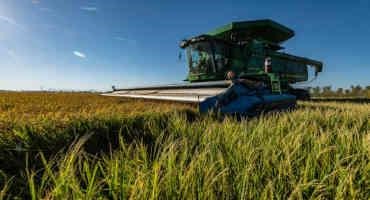1 in 4 Rule Suspended for the 2023 California Rice Crop Year
