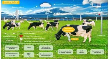 Ranches Of The Future Could Be Home To Cows Wearing Smart-Watch-Style Sensors Powered By Their Movements