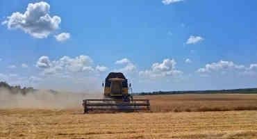 Lack Of Wheat Exports Due To War In Ukraine: In The Long Term, Wheat Production Must Increase Worldwide