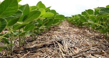 Double Cropping Beneficial to Farmers