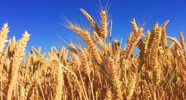Farmers should be reimbursed for fertilizer tariffs