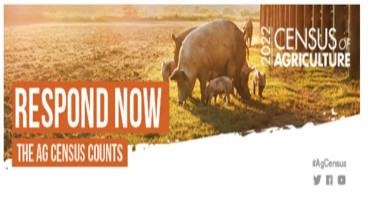 Help Represent the Pork Industry in Ag Census