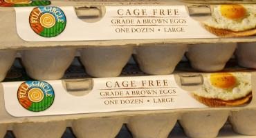 Price Of Eggs Continue To Soar In Texas And Nationwide