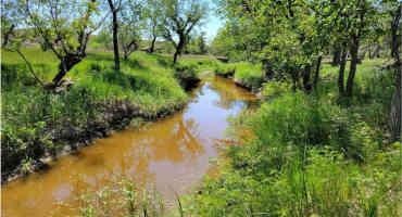 Ranching and Prairie Streams: Why Riparian Areas Matter