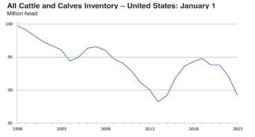 USDA Jan. 1 Cattle Inventory Report