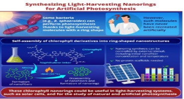 Recreating The Natural Light-Harvesting Nanorings In Photosynthetic Bacteria