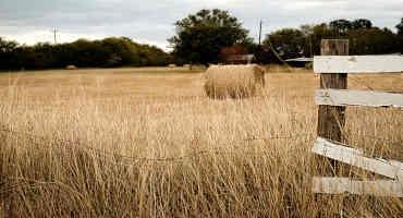 After Years Of Drought, Ranchers Face A Historic Hay Shortage