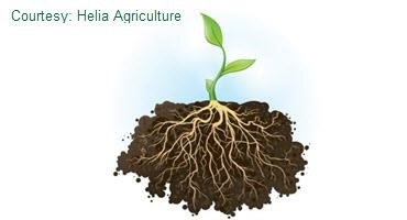 The Key to Water Productivity is Nourishing the Soil Microbiome