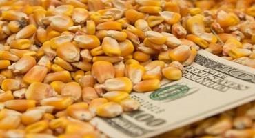 Crop Producers Need to Act on Farm Bill Decisions by March 15