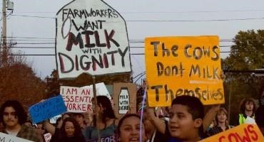 Farmworker Group Says Hannaford's Ethics Help Line Hasn't Fixed Living Conditions