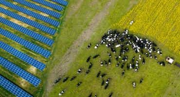 Solar Energy on Farmland: Finding A Balanced Approach