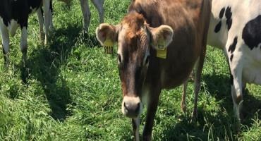 Wisconsin NRCS Announces March 17, 2023, Deadline Extension for Conservation Stewardship Program