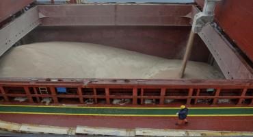 Ukrainian Grain Shipments Drop As Officials Blame Russia For Inspection Backlog