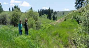 NRCS Montana Sets Application Date of March 17 for Climate-Smart Agriculture Funding